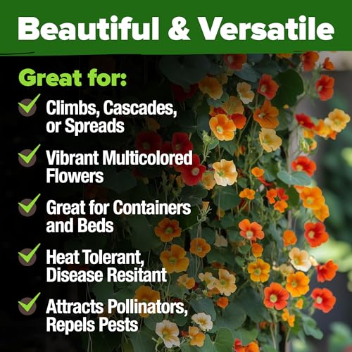 Image of HOME GROWN Nasturtium Seeds Dwarf Tall Trailing Mix 250+ Edible Flower Seeds for Planting Outdoors Fast Germination, Low-Maintenance Climbing & Trailing Nasturtium (Tropaeolum majus)