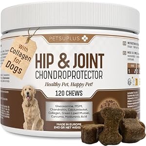 Hip & Joint Care. Collagen for Dogs. Dog Joint Supplements with Green Lipped Mussel, Glucosamine, Chondroitin, Hyaluronic Acid, Calcium & more. 120 Chews