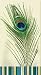 Creative Converting 16 Count Elise Premium Patterned Paper Guest Towels/Large Napkins, Peacocks, Whisp