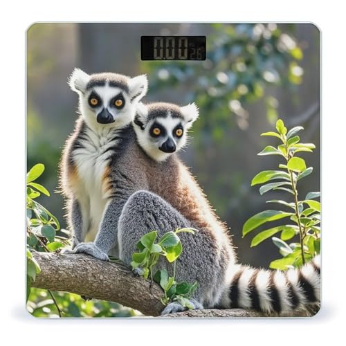 Báscula Digital de Vidrio Templado Ringtailed Lemur