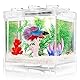 Kampffisch Aquarium Klein Komplettset, 2 L Aquarium Set Komplett mit LED- Beleuchtung, Weißem Kies, Künstlichen Korallen und Wasserpflanzen