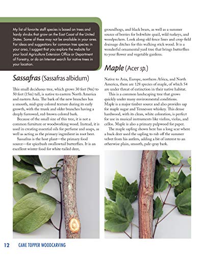 Cane Topper Woodcarving: Projects, Patterns, and Essential Techniques for Custom Canes and Walking Sticks (Fox Chapel Publishing) Step-by-Step Instructions & Expert Stickmaking Advice from Lora Irish - Image 9
