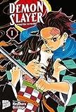  Demon Slayer 1: Kimetsu no Yaiba (Demon Slayer / Kimetsu no yaiba)