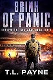 Brink of Panic: A Post-Apocalyptic EMP Survival Thriller (Survive the Collapse Book 3)