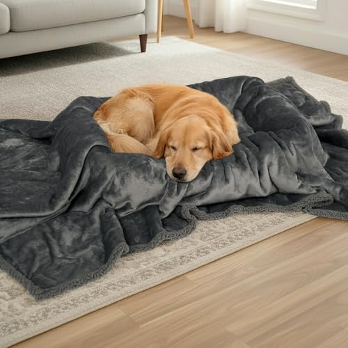 Dogat wasserdichte Hundedecke waschbar 100x80cm beidseitig verwendbare Haustierdecke für kleine und mittelgroße Hunde und Katzen Sofabezug und Bettschutz weiche Sherpa-Fleece- und Flanelldecke grau