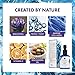 Natural Retinol Moisturizer Cream with Bakuchiol - Chicolle - Collagen Macadamia Oil and Vitamin C - Best Anti Aging Face Cream to Reduce Wrinkles and Fine Lines - Results in 5 weeks - 1.69 Fl Oz…