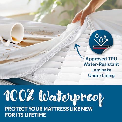 Image of Guardmax Jersey Knitted Split King Size Mattress Protector - Waterproof & Dust Mite Proof Mattress Cover with Stretchable Pockets - Soft, Comfortable, & Noiseless Waterproof Fitted Sheet.(78x80X15)