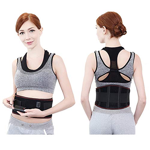 ZFF Calefacción Eléctrica Soporte Lumbar Cinturón Inferior Atrás Apoyo, Universal para...