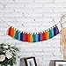 82 Inch Rainbow Tassel Garland for Classroom Decor Boho Tassel Garland Wall Hanging Colorful Tassel Banner with Wood Beads for Fiesta Birthday Party Nursery Classroom Home Decor (Rainbow)
