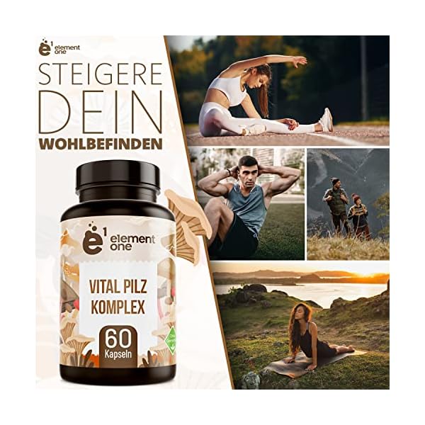 Vitalpilz Komplex - 60 Pilz Komplex Kapseln - 7 kraftvolle Pilze - Pilzkapseln aus Reishi, Cordyceps, Chaga, Maitake… – Bild 5