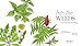 Into the Weeds: How to Garden Like a Forager