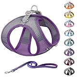 AIITLE Soft Mesh Dog Harness and Leash Set for Walking - Summer Step in Vest Harness,Reflective Band