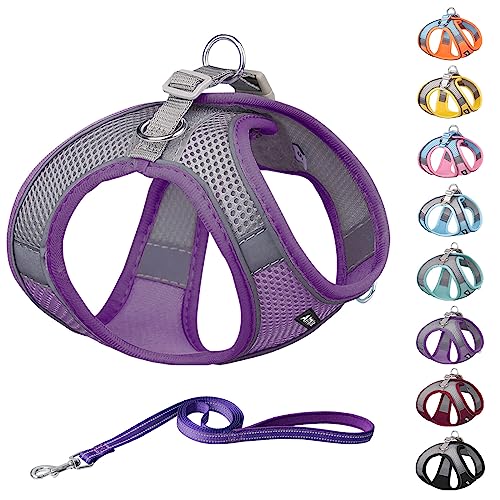 Aiitle Soft Mesh Dog Harness And Leash Set For Walking - Summer Step In Vest Harness,Reflective Bands, Adjustable No Pull Pet Supplies, For Small Dogs And House Cats Purple Xs #TOP6