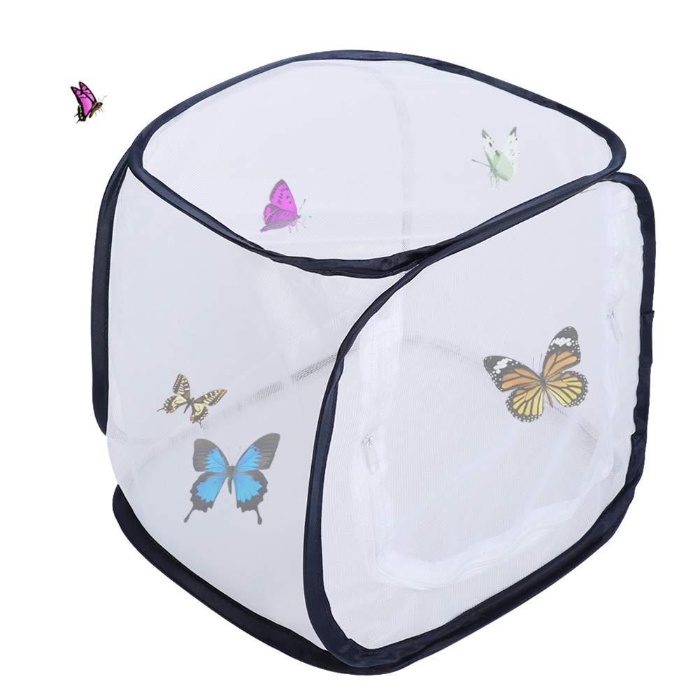 Alvinlite Filet à Insectes Pliable, Cage à Papillons 11,8" x 11,8" x 11,8", 5 Panneaux en Maille