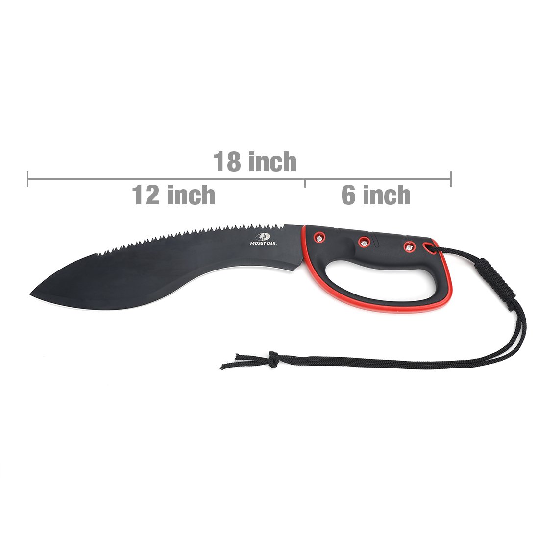 https://m.media-amazon.com/images/I/51EFxbuSPtL.jpg