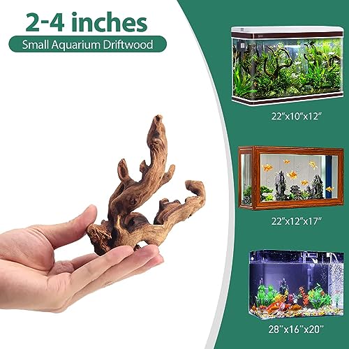 Image of WDEFUN Natural Driftwood for Aquarium Decor, 10-Piece 2''-5'' Small Driftwood for Decorations on Fish Tank, Reptiles Bearded Dragon Accessories or Air Plants