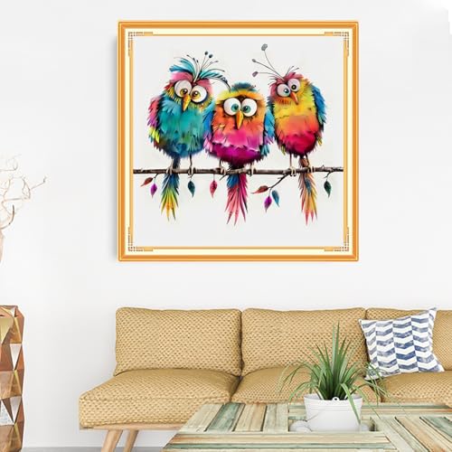 Image of Dooxvey Counted Cross Stitch Kits for Adults 11CT Printed Cross-Stitch Patterns Cross Stitching Embroidery Kit Stamped or Counted Needlepoint Kits-Three Rainbow Birds 18x18 inch