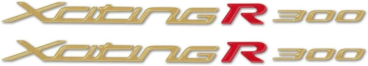 labelbike - 2 3D Stickers Motorcycle Scooter Writing XCITING R 300 in Resin compatible with KYMCO XCITING R 300