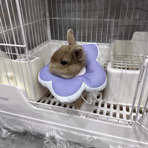 Image of Adjustable Rabbit Protection Cone - Soft Waterproof Recovery Collar for Bunny Chinchilla Guinea Pig Kitten After Surgery Wound Healing Elizabeth Neck Cone E-Collar for Small Pets (Purple, XS)