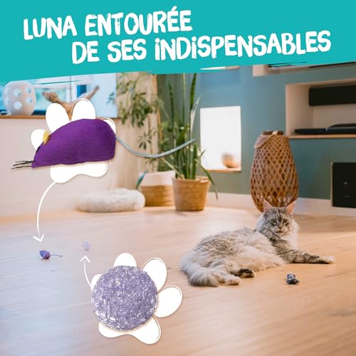 Aimé | Lot de 7 Jouets pour Chat Intérieur et Extérieur | Jeux Variés et Amusants | Facile à Ranger et à Transporter | Convient à Tous les Chats – Image 6