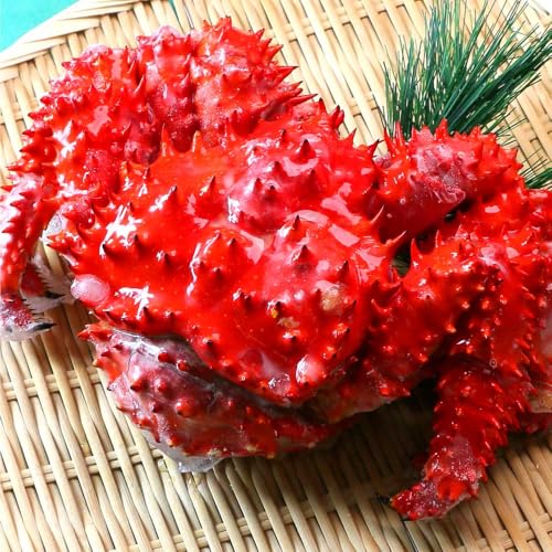 カニ かに 蟹 花咲蟹 北海道産 花咲ガニ 姿 特大 700g前後 はなさきがに ハナサキガニ 花咲 はなさき 姿 蟹 ボイル ボイル蟹 カニ姿 (4尾)