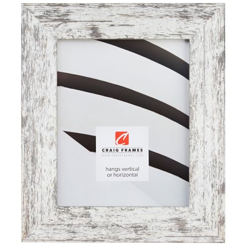 Craig Frames 10x20 White Picture Frame for Posters and Gallery Wall