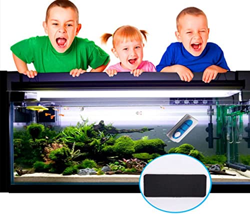 YKKJ Pulisci Vetro Acquario，detergente per vetri