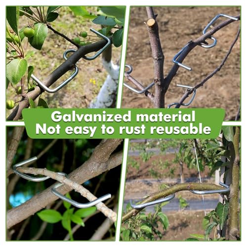 LXYYDS 30 Stück Astspreizer für Obstbäume, (8/10/13CM) M Formiger Astspreizer, Zweigspreize für Gartenbäume, Astklammern Metall Zweigspreize, Astbiegewerkzeug zum Formen von Obstbaumzweigen