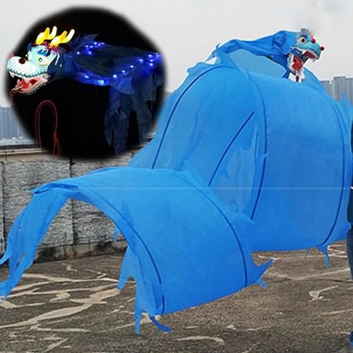 TFG - Ttfd Dance Dragon Flag, Dragon Silk Cable Toy, Red, Blue, White, Green, Pink, Yellow, Outdoor Fitness(Blue,8 m (26 ft))