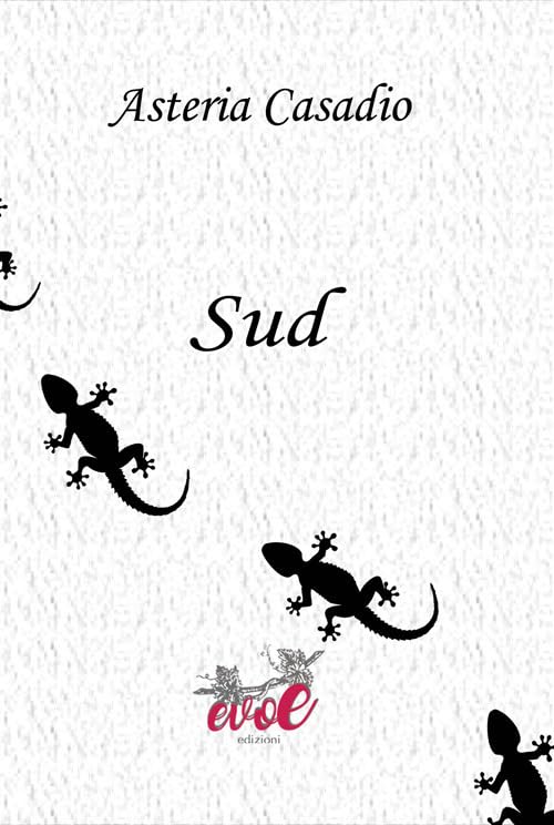  Sud
