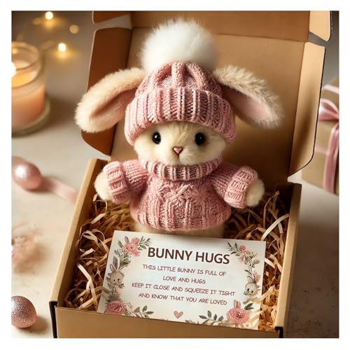 Mini Bunny Hug Cute Easter Gift Plush 2025 Bunny in a Box Hugs Positive Bunny Stuffed Animal Rabbit Soft Floppy Easter Ideas Bunnies Basket Stuffers Doll Emotional Support Inspirational Gifts (A1) - Image 5