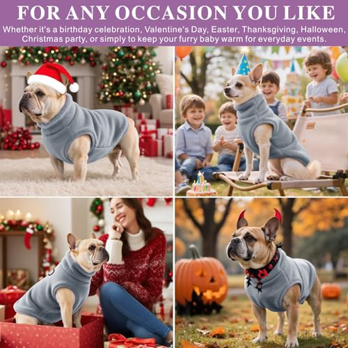 Oslueidy Hundemantel Fleece Hunde Jacken Hund warme Mäntel Winter Haustier Kleidung Hoodies Pullover Jumpsuit Hund Schnee Outfits Weste für kleine mittlere große Hunde XS-XXL (Grau, S)