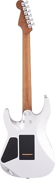 Charvel USA Select DK24 HSS Electric Guitar - Quicksilver