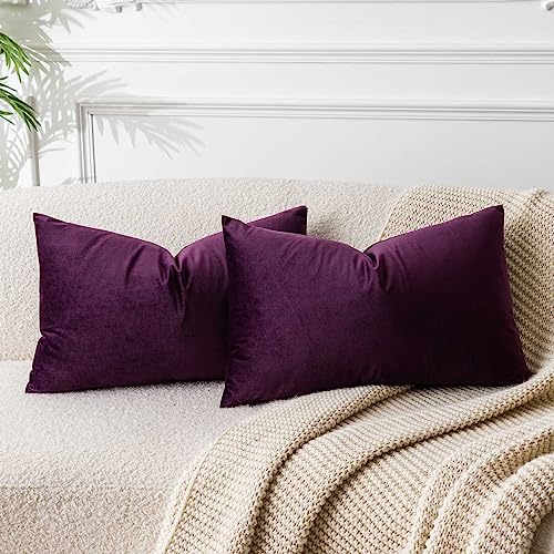 Image of JUSPURBET Couch Pillow Covers Set of 2 Decorative Velvet Throw Pillow Covers for Living Room Bedroom Home Decor Soft Lumbar Cushion Covers with Hidden Zipper for Sofa Bed,Eggplant Purple,14x24 inch