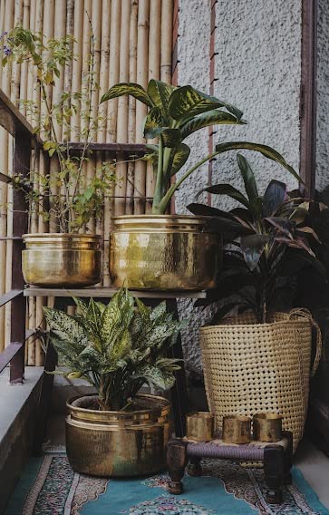 P-TAL Pure Brass Planter Pot (Medium, Golden Finish) - Handcrafted