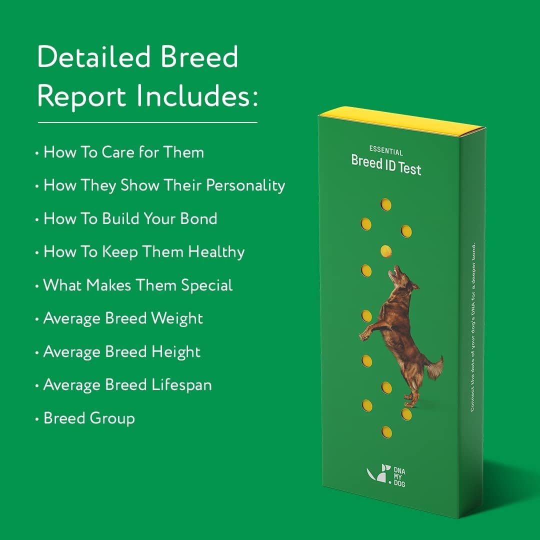 DNA My Dog Trusted & Affordable Breed Identification Test | 350+ Breeds Identified with 99%+ Accuracy | Complete Breed Analysis, Personality and Behavior Insights | Easy Cheek Swab, Results in 2 Weeks - Image 2