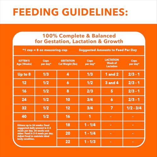 IAMS Proactive Health Healthy Kitten Dry Cat Food with Chicken, 7 lb. Bag