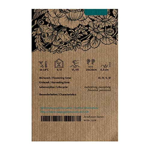 Himmelblaues Wald-Vergissmeinnicht (Myosotis sylvatica) 600 Samen