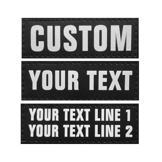 Écussons personnalisés pour harnais de chien, 2 pièces, écussons de noms tactiques personnalisés pour sac à dos, gilet, vestes, chemises de travail, shérif, sécurité, militaire, sac d'intervention,