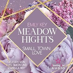Couverture de Small Town Love