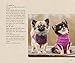 Sweaters for Dogs: 15 Knitting Projects to Keep Your Dog Cozy and Comfortable