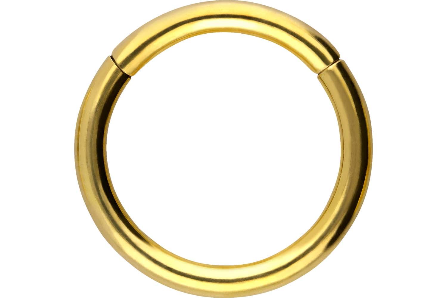PIERCINGLINE Anillo segmento Clicker de acero quirúrgico – Piercing en oro, plata, rosa, negro o azul – para nariz, tabique, oreja, hélice o tragus — view 105