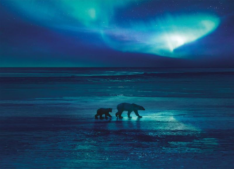 Frozen Planet Eisige Welten II Blu-ray documental de naturaleza 4