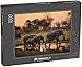 Produktbild Puzzle 1000 Teile Elefanten im Moremi Nationalpark - Botswana - Klassische Puzzle, 1000 / 200 / 2000 Teile, edle Motiv-Schachtel, Fotopuzzle-Kollektion 'Tiere 2'