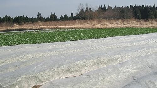 J}eA _ƗpsDz NEWACzbJ #18 600mm x 50m