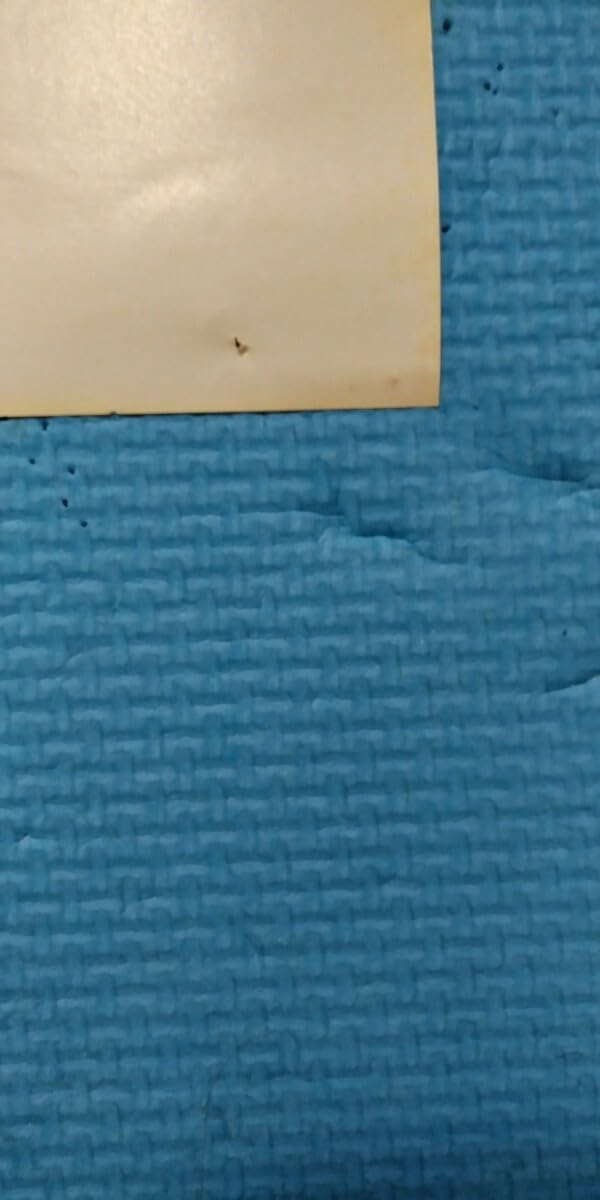 Amazon.co.jp: ！「X JAPAN」インディーズ「Vanishing Vision」発売時