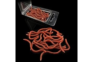 OriGlam Amazing Plastic Worms for Kids