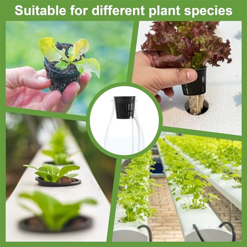ECcandiedhaws O kit de sistema de cultivo hidropônico de 76 peças inclui 32 peças de cubos hidropôni