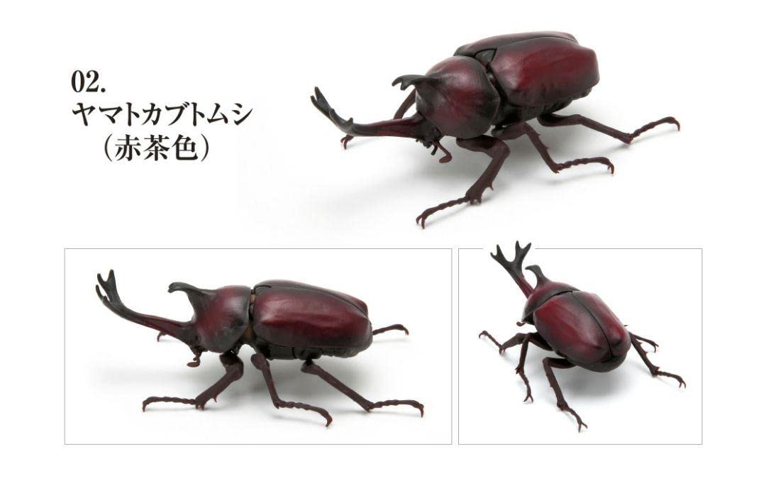 Amazon | ガチャ 赤茶色 ヤマトカブトムシ かぶとむし02 いきもの大