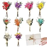 RXKFIGX 10 Bündel Trockenblumenstrauß, Natürliche Trockenblumenstrauß Klein, Mini Trockenblumen zum Basteln, Mini Blumenstrauß Gemischte,für Hochzeiten, Heimdekoration, Geschenkboxen